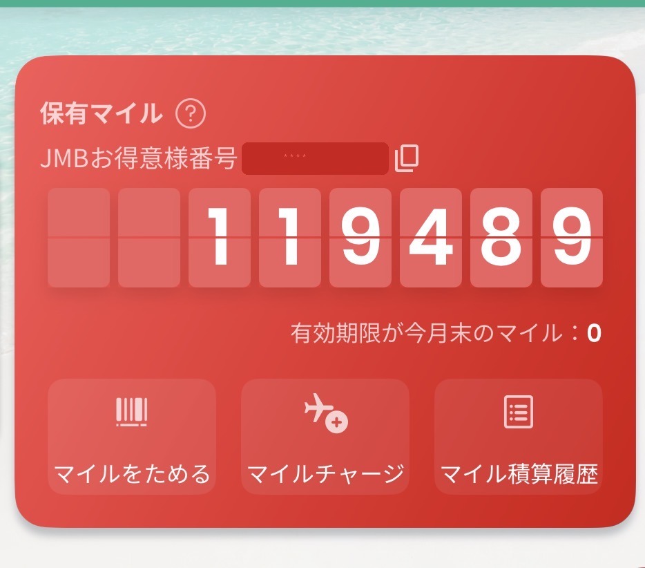 JALマイレージバンクの保有マイル残高119,489マイルの画面